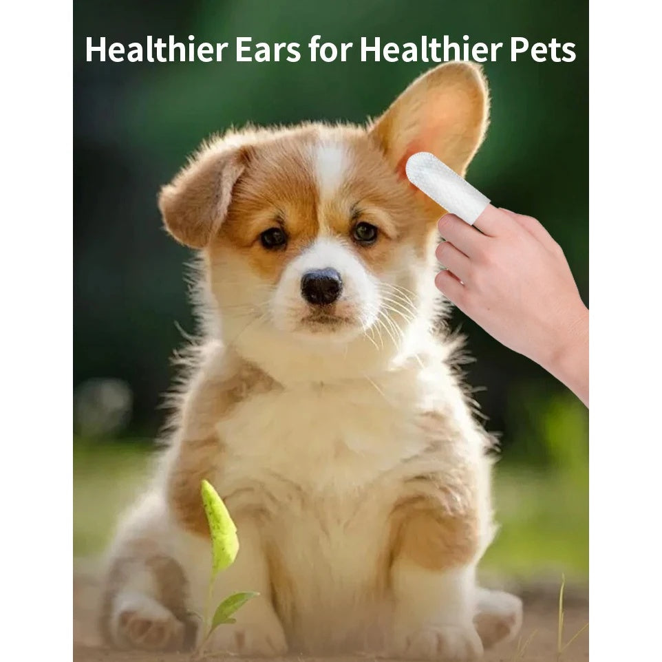 Pet Cleaning Products Eye Wipes To Remove Tear Marks Cleaning Wet Tissues