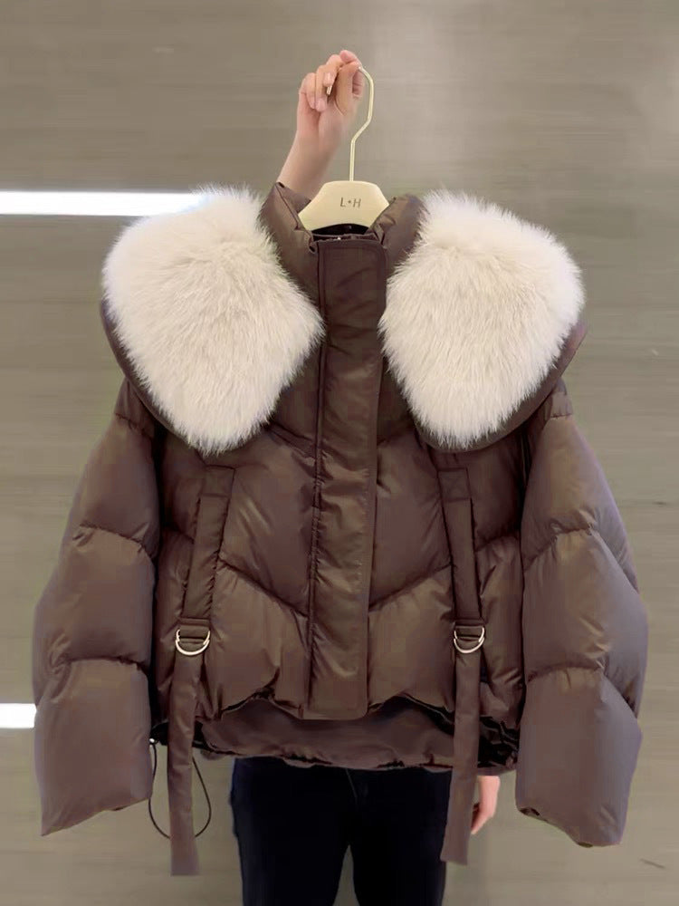 Winter Black Cotton-padded Clothes Coat For Women Brown