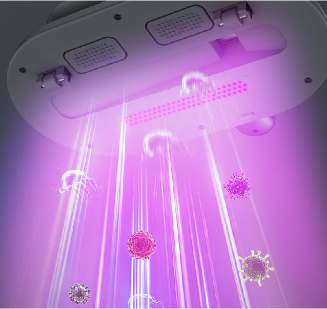 Electric UV Mite Remover Household Bed Mattress Sofa Pillows Mite Removal