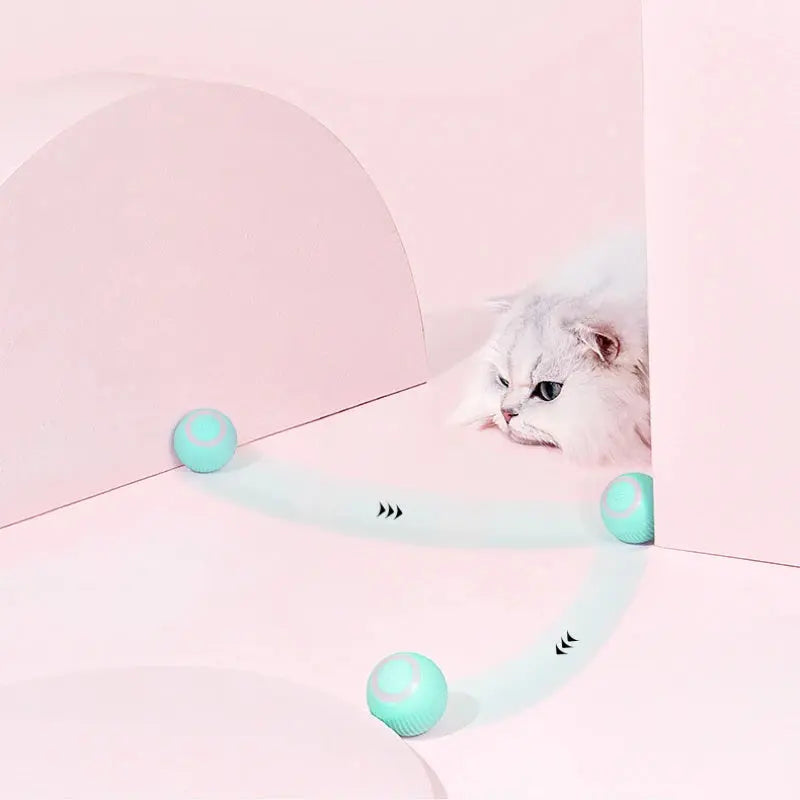 Remote Control Interactive Cat And Dog Car Toy USB Charging Self-moving Remote Control