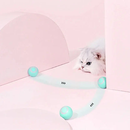 Remote Control Interactive Cat And Dog Car Toy USB Charging Self-moving Remote Control