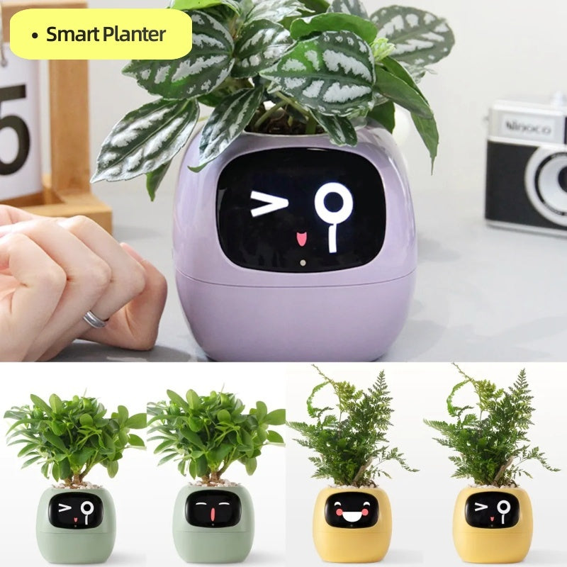 Smart Planter Endless Fun Over 49 Rich Expressions 7 Smart Sensors And AI Chips
