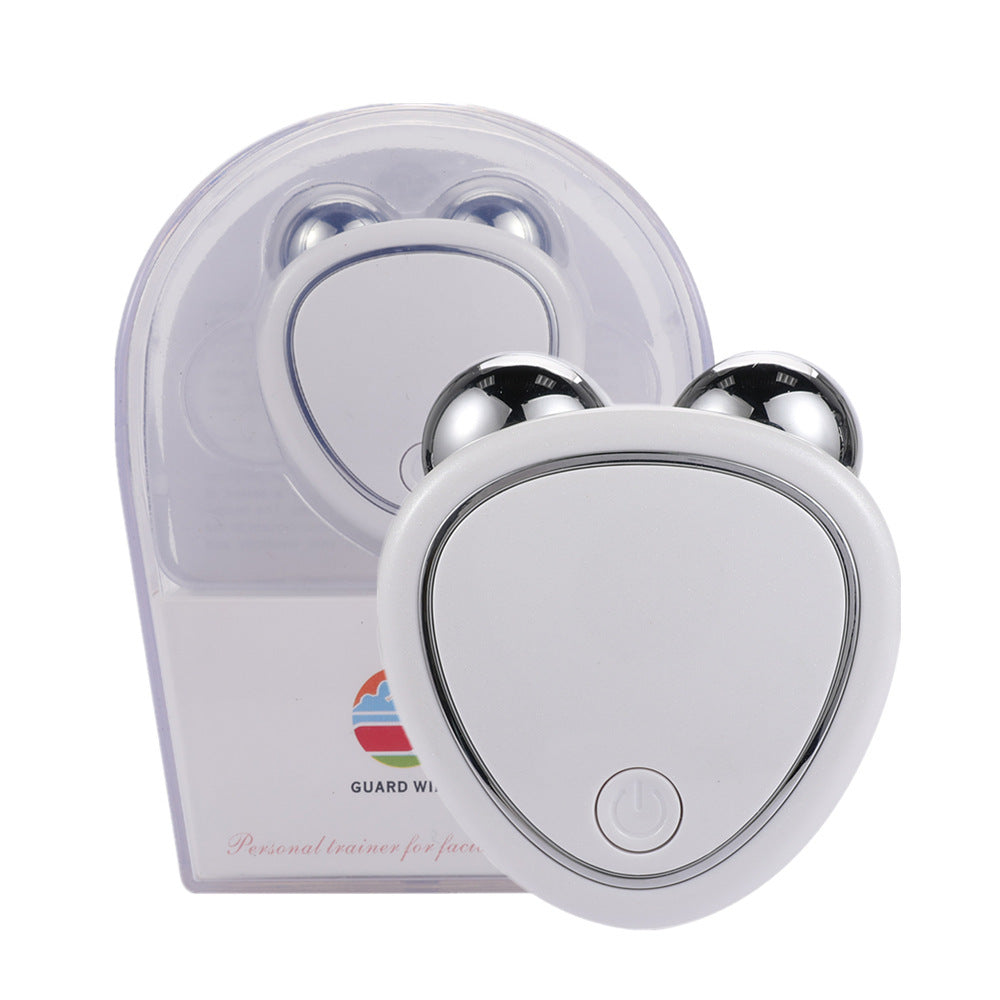 Portable Facial Micro-current Beauty Instrument Double Roller Massager White USB Box