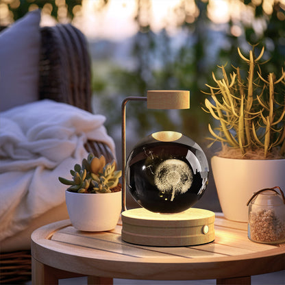 Crystal Ball Cosmic Dinosaur Indoor Night Light Dandelions Light wood