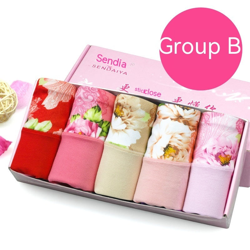 Modal Underwear For Women Mid-waist Cotton 5 Pieces B Group