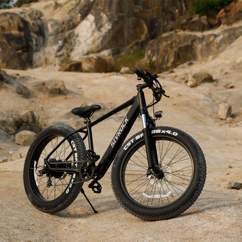 Professional Electric Bike For Adults, Fat Tire Electric Mountain Bicycle, 1000W Motor 48V 15Ah Ebike For Trail Riding, UL And GCC Certified