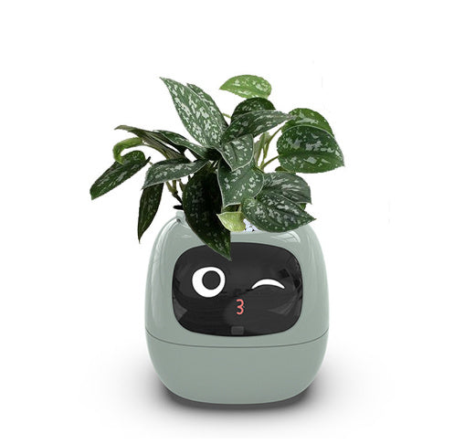 Smart Planter Endless Fun Over 49 Rich Expressions 7 Smart Sensors And AI Chips Light Green Small